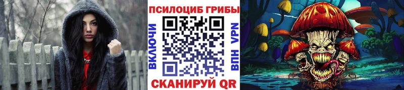 Псилоцибиновые грибы Cubensis  Купить  Мичуринск 